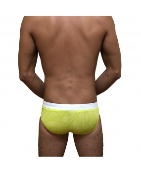 Sexy Swimming Briefs (T008)
